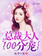 总裁大人,100分宠!
