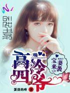 宝妻来袭:嗨!高冷四爷